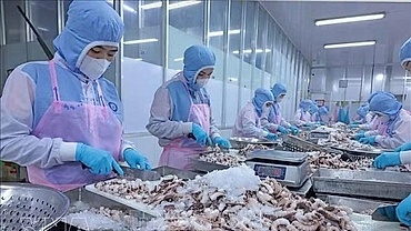 Vietnam’s aquatic product exports aim for US$12 billion target