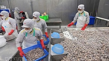 Vietnam notifies WTO committee of goods origin management reforms