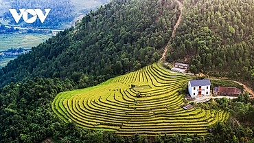 Vietnam among top five destinations for extended travel