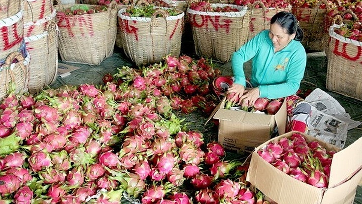 RoK – potential market for Vietnam’s fruit-vegetable exports
