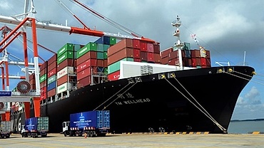 Foreign trade law needed: deputies