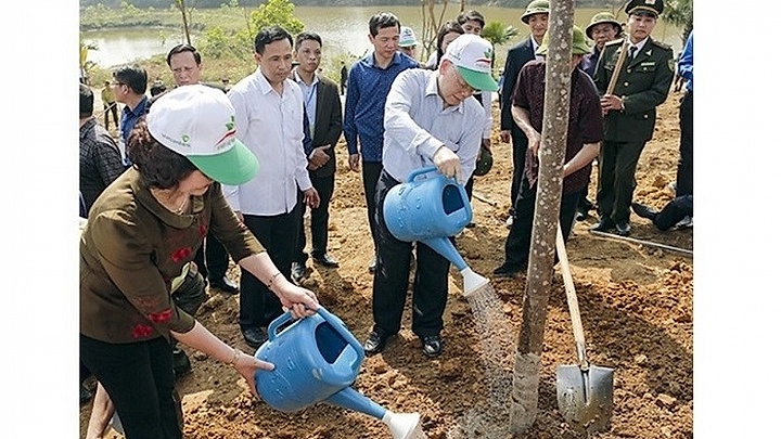 Yen Bai responds to New Year tree planting festival