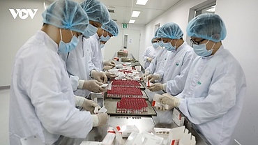 National programme for development of domestic vaccines adopted