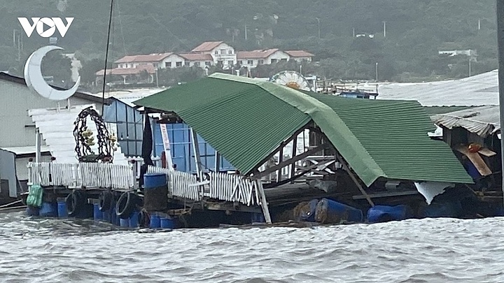 Ảnh hưởng bão số 9 tại Nam Trung Bộ: Nhiều khu dân cư ngập sâu, cuốn trôi lòng bè nuôi tôm