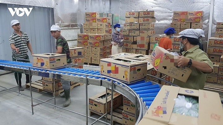 Gần 1.500 doanh nghiệp ở Long An khởi động sản xuất ngay sau kỳ nghỉ Tết