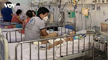 HCM City sees sharp rise in severe dengue fever cases