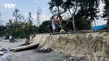 Triều cường xâm thực gây sạt lở bờ biển Quảng Ngãi