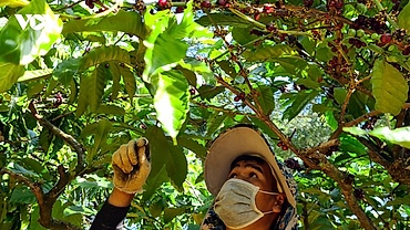 Nông dân người Jrai thi đua sản xuất, kinh doanh giỏi
