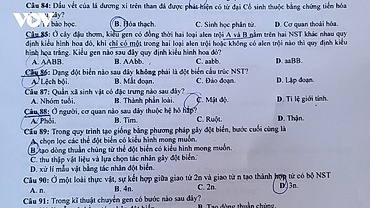 Đề thi Sinh học kỳ thi tốt nghiệp THPT 2023