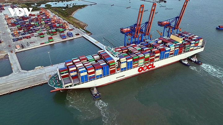Cước phí vận tải biển tăng sốc, doanh nghiệp xuất khẩu đuối sức