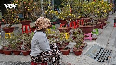 Tiểu thương bán hoa Tết tại TP.HCM ngóng khách trong ngày cuối cùng của năm