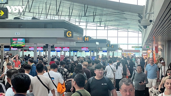 Về quê ăn Tết - cuộc hành hương của Đạo và Tình