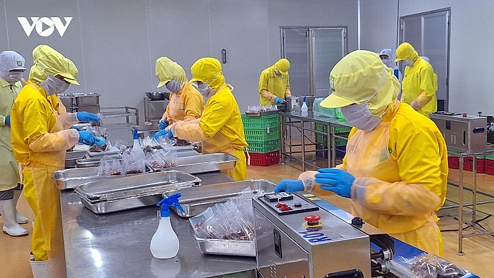 Halal market: A breakthrough opportunity for Vietnam’s agricultural exports