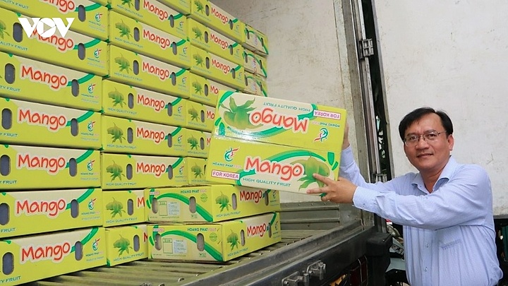 Fruit prices plunge despite strong export growth