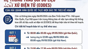 Tạm dừng trao đổi dữ liệu xuất xứ Việt Nam - Hàn Quốc trong tháng 5
